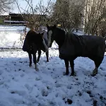 Kır Evi Mainardi Camino al Tagliamento