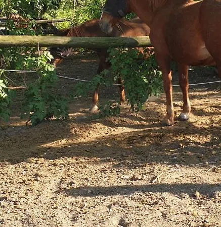 Mainardi Kır Evi