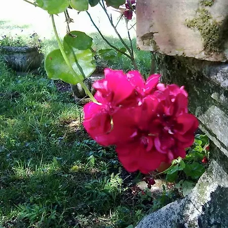 Mainardi Agriturismo