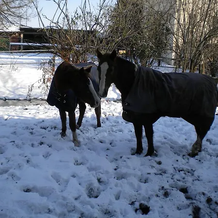 Kır Evi Mainardi Camino al Tagliamento