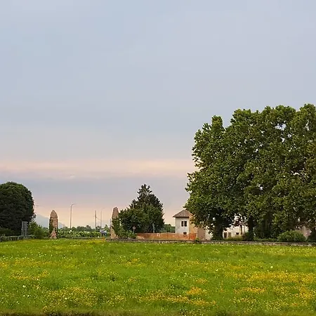 Mainardi Camino al Tagliamento
