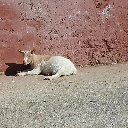 Hétvégi ház Mainardi Camino al Tagliamento