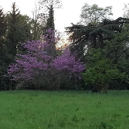 Casa di campagna Mainardi Agriturismo