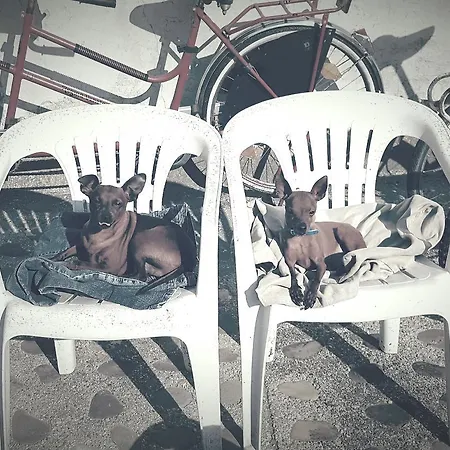 Hétvégi ház Mainardi *