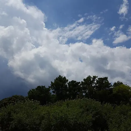 Mainardi * Camino al Tagliamento