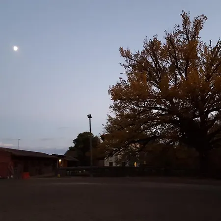 Mainardi Camino al Tagliamento