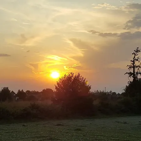 Mainardi Camino al Tagliamento