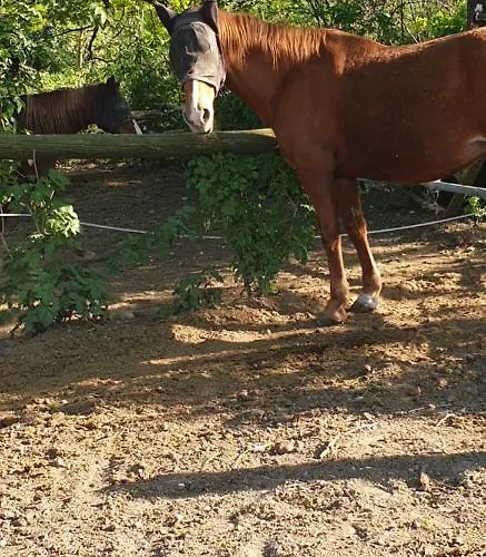 Mainardi Hétvégi ház *