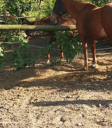 Mainardi Εξοχικό σπίτι