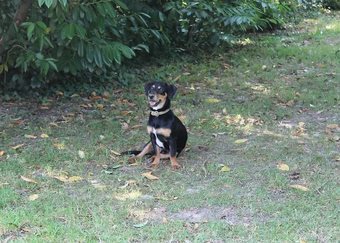 Εξοχικό σπίτι Mainardi Camino al Tagliamento