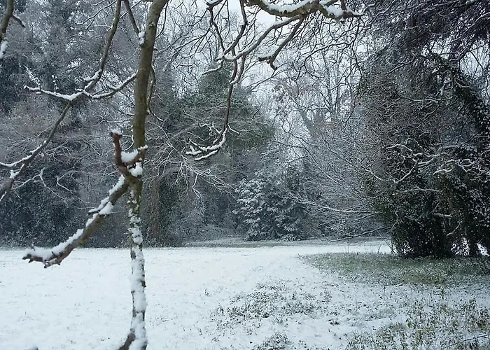 Mainardi * Camino al Tagliamento