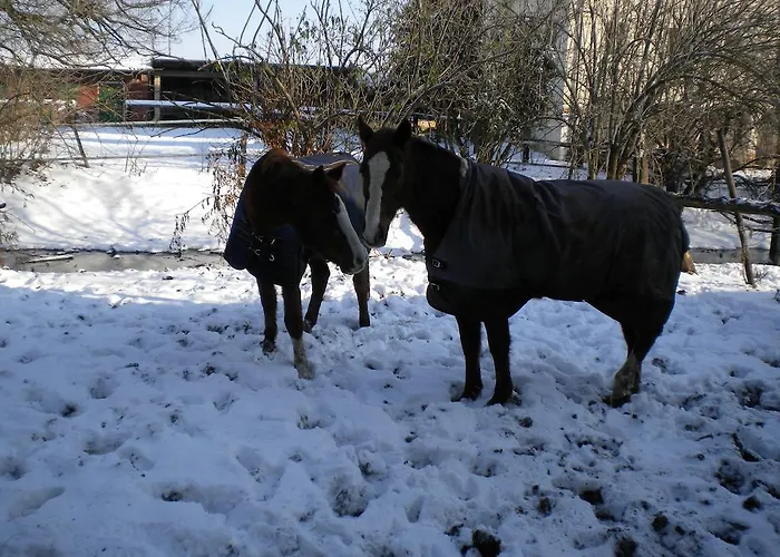 Hétvégi ház Mainardi Camino al Tagliamento