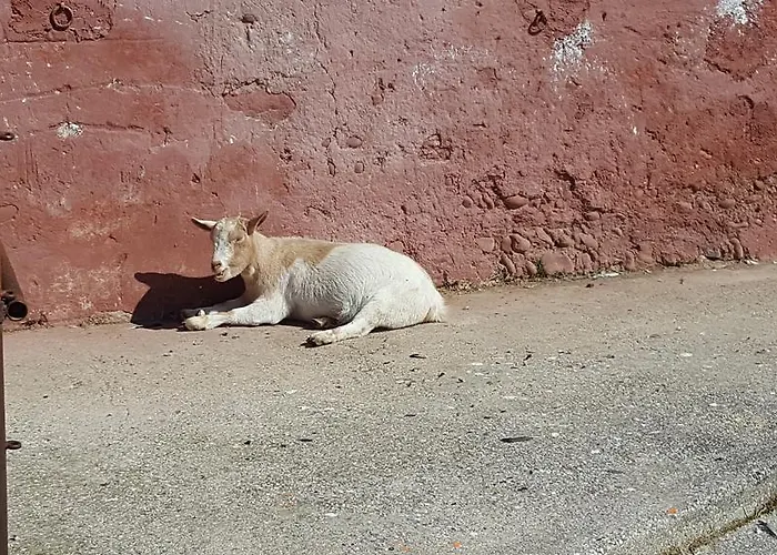 Εξοχικό σπίτι Mainardi Camino al Tagliamento