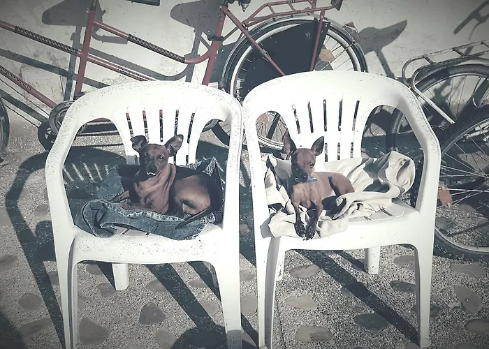 Εξοχικό σπίτι Mainardi *