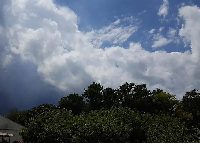 Mainardi * Camino al Tagliamento