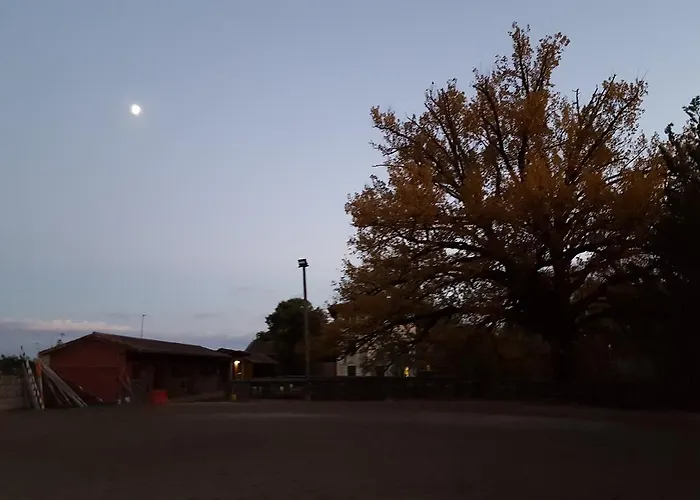 Mainardi Camino al Tagliamento