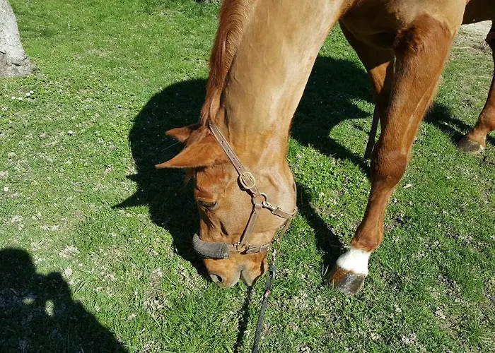 Mainardi * Camino al Tagliamento