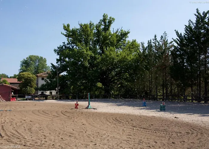 Mainardi * Camino al Tagliamento